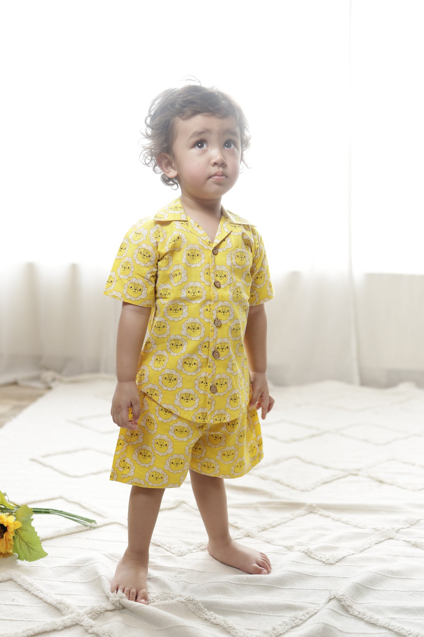 Lion in yellow