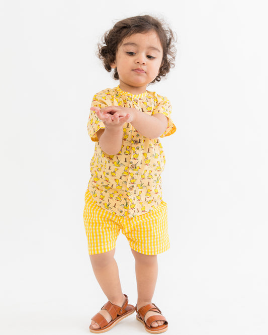Duck Duck Duckling set